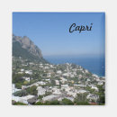 Search for capri magnets Sea