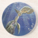 Search for turtle barware Underwater