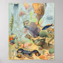 Search for adolphe millot posters Nature