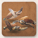 Search for baby turtle barware Blue