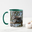 Search for australian koala bear mugs Wildlife