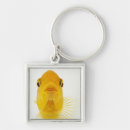 Search for comet key rings Photography