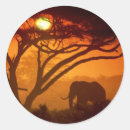 Search for elephants sunset stickers Silhouette