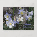 Search for columbine postcards State