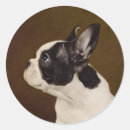 Search for funny veterinarian stickers Dog