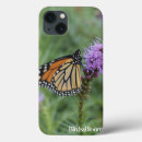 Search for monarch butterfly cases Butterflies
