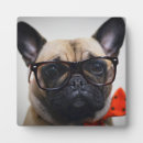 Search for french bulldog nursery decor Baby animals