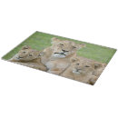 Search for cat chopping boards Lincoln peak