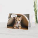 Search for chihuahua birthday cards Pet