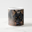 Search for shepherd puppy mugs Cute baby animal
