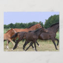Search for horses galloping invitations Wild horse