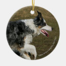 Search for dog run christmas tree decorations Running