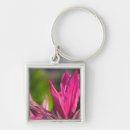 Search for nassau key rings Caribbean