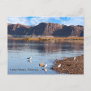 Search for hiking nevada postcards Desert