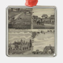 Search for resident of christmas tree decorations County