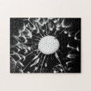 Search for dandelion puzzles Weed