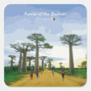 Search for baobab stickers Madagascar