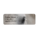 Search for draught horses cards invites Percheron