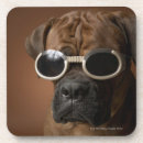 Search for office humour coasters Dogs