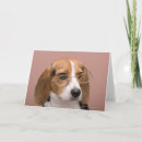 Search for beagles cards Humour