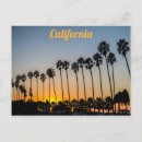 Search for sunset palm postcards California