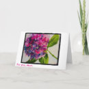 Search for hydrangea mothers day cards Pink