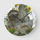 Search for three toed posters Wildlife