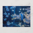 Search for aquarium postcards Blue