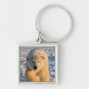 Search for steve key rings Fauna