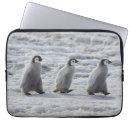 Search for antarctic peninsula electronics Emperor penguin