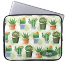 Search for barrel cactus electronics Succulents