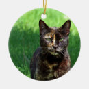 Search for tortoiseshell cat christmas tree decorations Feline