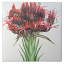 Search for paper tiles Botanical