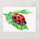 Search for lady bug postcards Red