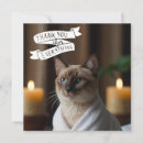 Search for siamese cats cards Feline