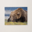 Search for grizzly bear puzzles North america