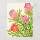Search for watercolour painting postcards Flowers
