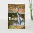 Search for wildlife designs cards Nature