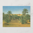 Search for african tree postcards Trees
