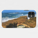 Search for otter cases Ocean