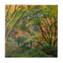 Search for japanese garden tiles Oriental