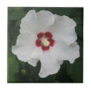 Search for flower tiles Hibiscus