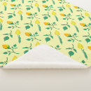 Search for garden roses blankets Plants