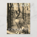 Search for imaging postcards Dogs