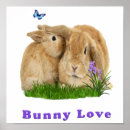 Search for rabbit lover posters Animals
