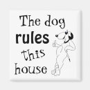 Search for rule magnets Humour