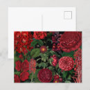 Search for floral monogram postcards Watercolor