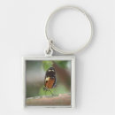 Search for macro key rings Outdoors