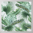 Search for palm leaf posters Botanical