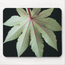 Search for stems mousepads Leaves